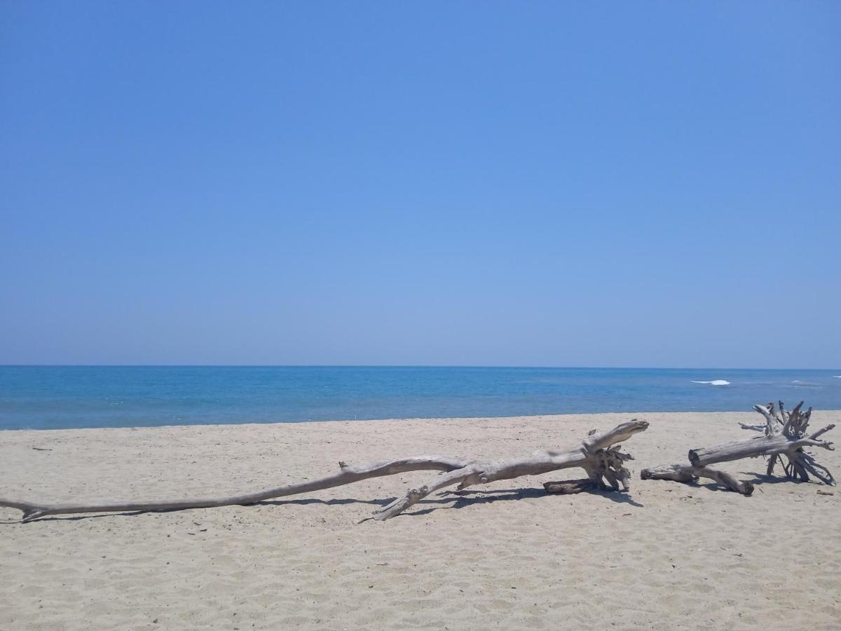 Bob Marley Beach Guachaca Exterior foto
